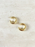 Argollas Paz
